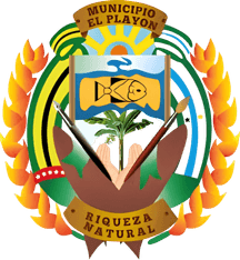 Municipio El Playón